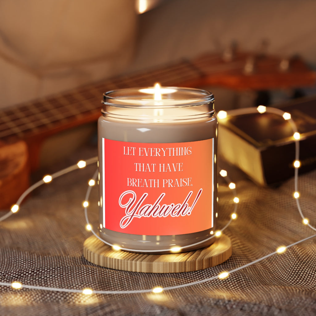 Scented Soy Candles with White Lid, 9oz